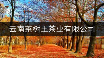 云南茶樹王茶業(yè)有限公司