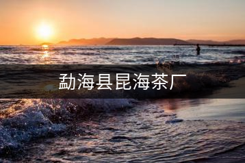 勐?？h昆海茶廠