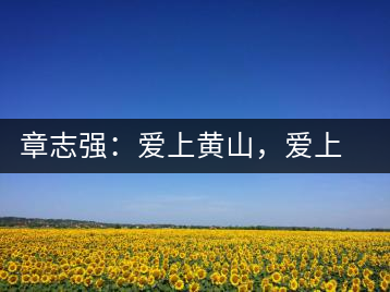 章志強(qiáng)：愛上黃山，愛上黃山的茶