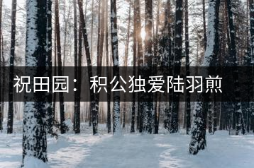 祝田園：積公獨(dú)愛(ài)陸羽煎的茶