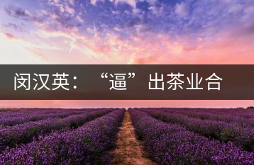 閔漢英：“逼”出茶業(yè)合作社，帶領(lǐng)村民走上致富路