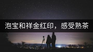 泡寶和祥金紅印，感受熟茶之美。