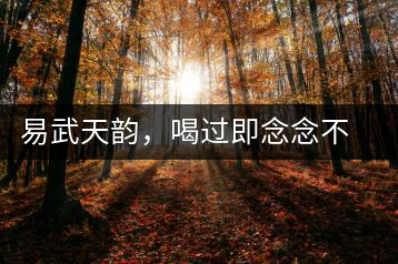 易武天韻，喝過即念念不忘的茶中皇后