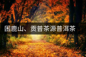 困鹿山、貢普茶源普洱茶羊城受熱捧