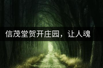 信茂堂賀開莊園，讓人魂?duì)繅衾@的名山古樹茶