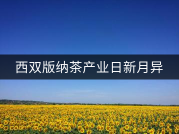 西雙版納茶產業(yè)日新月異