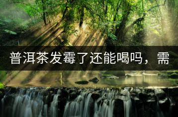 普洱茶發(fā)霉了還能喝嗎，需要怎么處理？