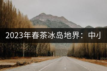 2023年春茶冰島地界：中小樹1300-1500元／公斤，古樹2200~2500元／公斤