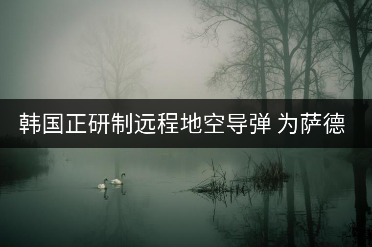 韓國(guó)正研制遠(yuǎn)程地空導(dǎo)彈 為薩德系統(tǒng)作補(bǔ)充 韓國(guó)正研制遠(yuǎn)程地空導(dǎo)彈 為薩德系統(tǒng)作補(bǔ)充