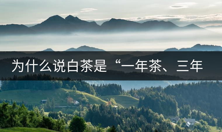 為什么說白茶是“一年茶、三年藥、七年寶”?為什么說白茶是“一年茶、三年藥、七年寶”？