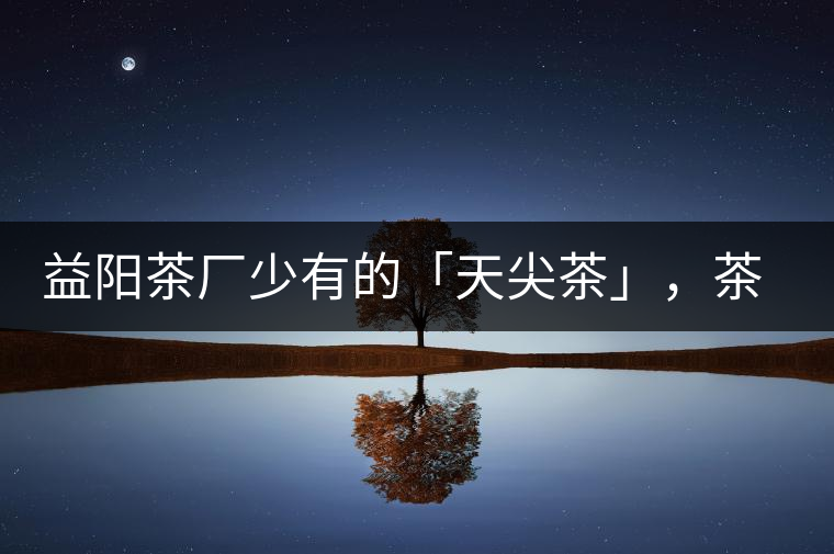 益陽茶廠少有的「天尖茶」，茶品升級，收藏趁早！