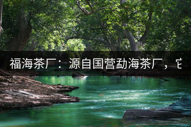 福海茶廠：源自國營勐海茶廠，它是99易武綠星星之母