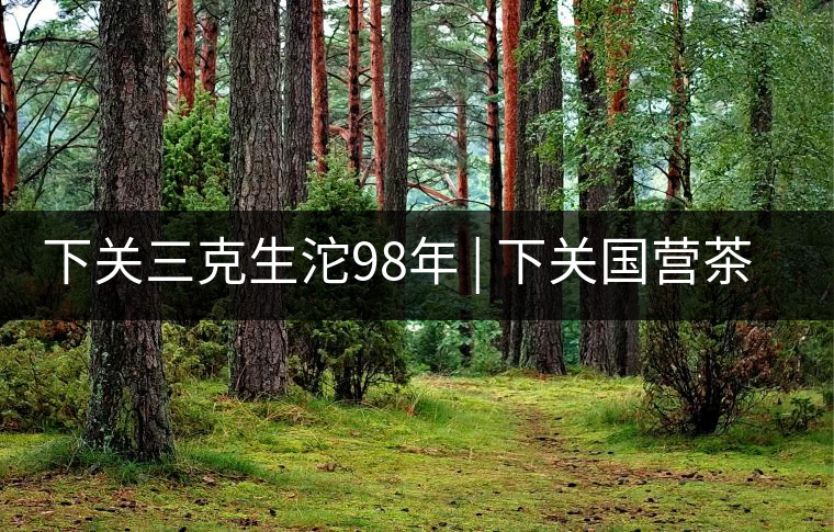 下關(guān)三克生沱98年 | 下關(guān)國營茶廠出口料，干倉儲存，...下關(guān)三克生沱98年 | 下關(guān)國營茶廠出口料，干倉儲存，19年老茶！