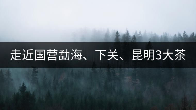 走近國(guó)營(yíng)勐海、下關(guān)、昆明3大茶廠，傳世代表作的發(fā)展詳...走近國(guó)營(yíng)勐海、下關(guān)、昆明3大茶廠，傳世代表作的發(fā)展詳解