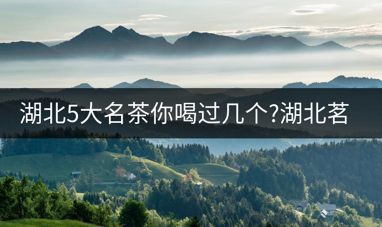 湖北5大名茶你喝過幾個?湖北茗茶的歷史故事?湖北茶哪...湖北5大名茶你喝過幾個？湖北茗茶的歷史故事？湖北茶哪個產(chǎn)地好
