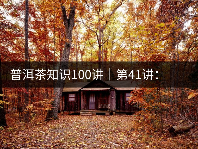 普洱茶知識(shí)100講｜第41講：孤獨(dú)的邦崴過渡型古茶王