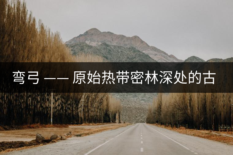 彎弓 —— 原始熱帶密林深處的古茶園 彎弓 —— 原始熱帶密林深處的古茶園