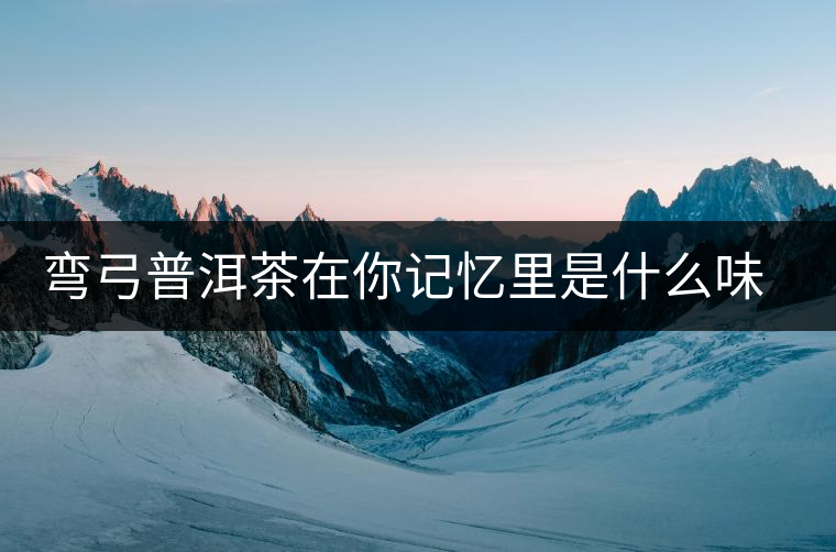 彎弓普洱茶在你記憶里是什么味道？