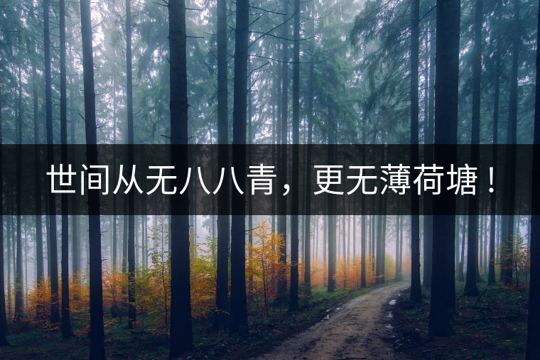 世間從無八八青，更無薄荷塘 !