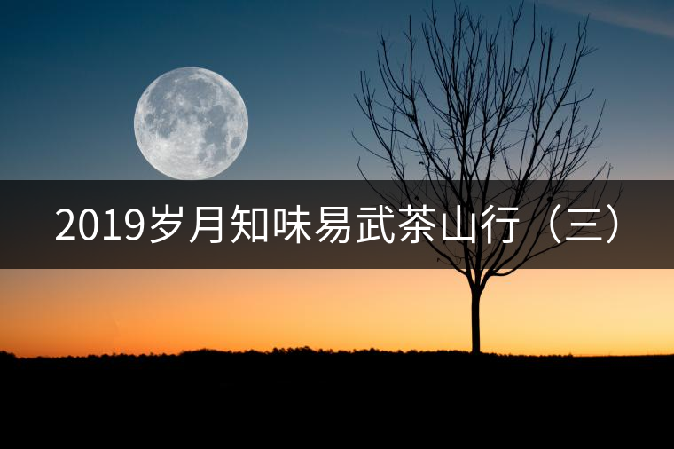 2019歲月知味易武茶山行(三) 2019歲月知味易武茶山行(三)