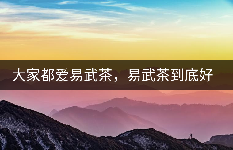 大家都愛易武茶，易武茶到底好在哪兒?大家都愛易武茶，易武茶到底好在哪兒？