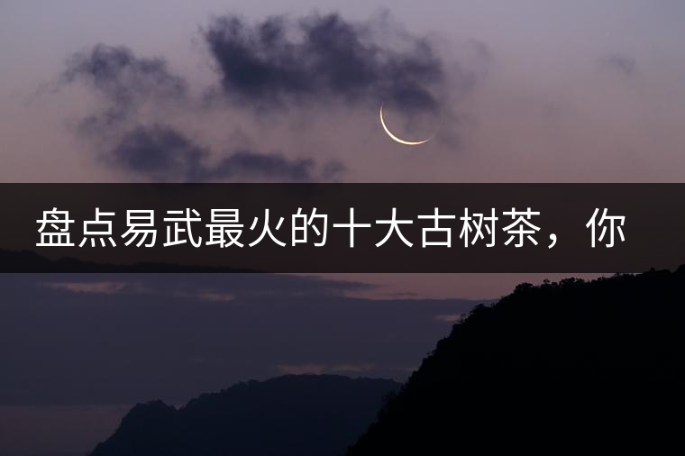 盤(pán)點(diǎn)易武最火的十大古樹(shù)茶，你喜歡哪款？