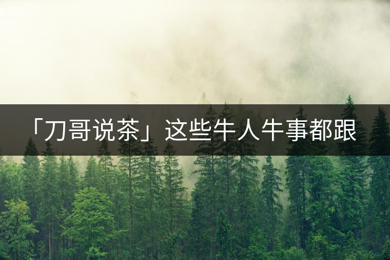 「刀哥說茶」這些牛人牛事都跟云南茶葉有關