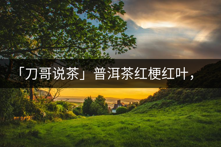 「刀哥說(shuō)茶」普洱茶紅梗紅葉，這鍋誰(shuí)來(lái)背？