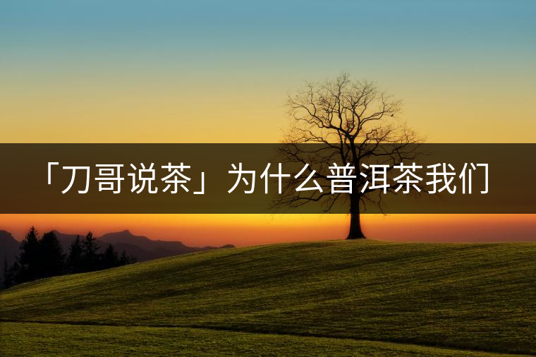 「刀哥說(shuō)茶」為什么普洱茶我們情愿選三無(wú)？