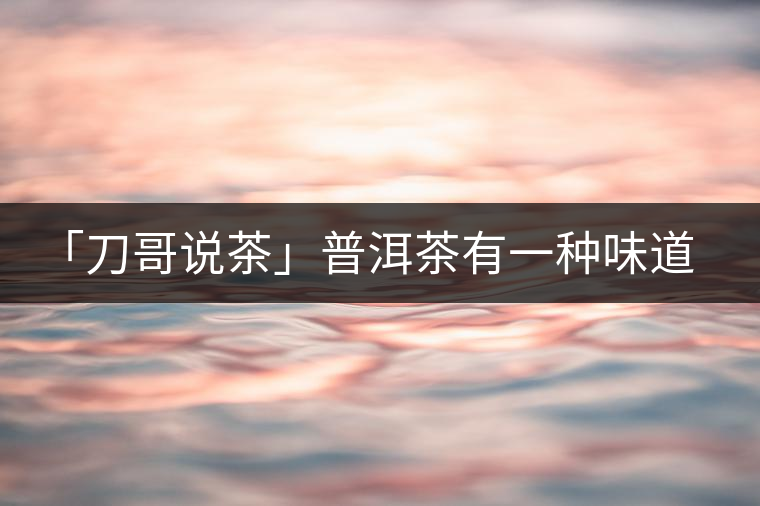 「刀哥說茶」普洱茶有一種味道，只可意會(huì)不可言傳
