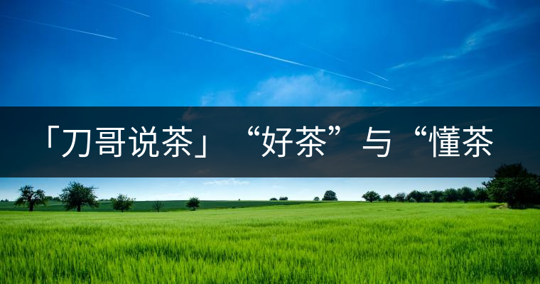 「刀哥說茶」“好茶”與“懂茶”「刀哥說茶」“好茶”與“懂茶”