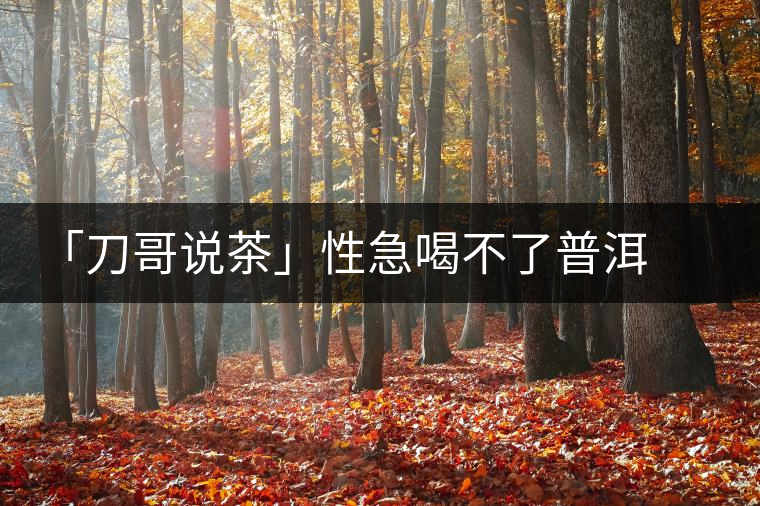 「刀哥說(shuō)茶」性急喝不了普洱熟茶 「刀哥說(shuō)茶」性急喝不了普洱熟茶