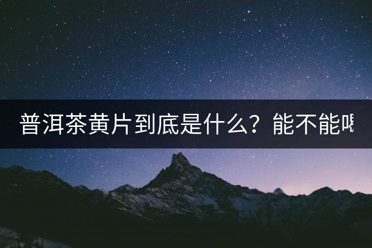 普洱茶黃片到底是什么？能不能喝？