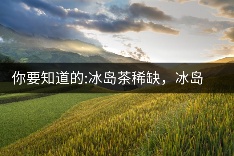 你要知道的:冰島茶稀缺，冰島熟茶更來之不易你要知道的：冰島茶稀缺，冰島熟茶更來之不易