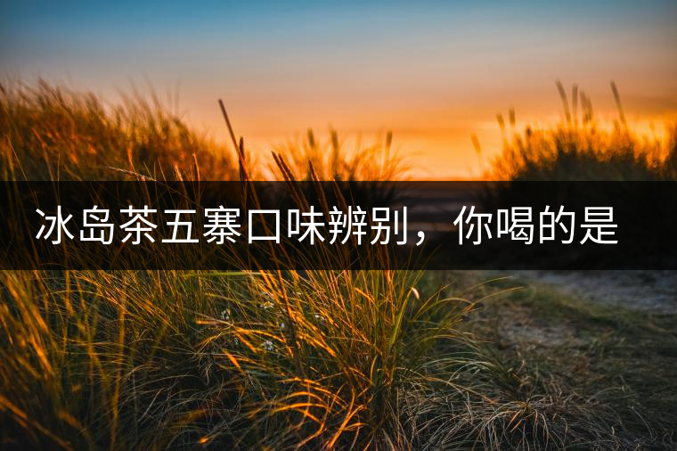 冰島茶五寨口味辨別，你喝的是正宗冰島茶嗎?冰島茶五寨口味辨別，你喝的是正宗冰島茶嗎？