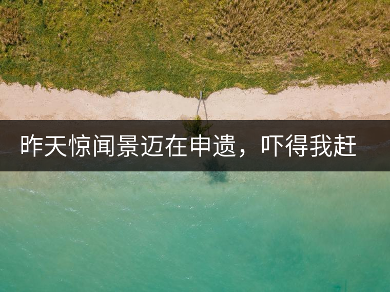 昨天驚聞景邁在申遺，嚇得我趕緊拿出景邁茶……昨天驚聞景邁在申遺，嚇得我趕緊拿出景邁茶……