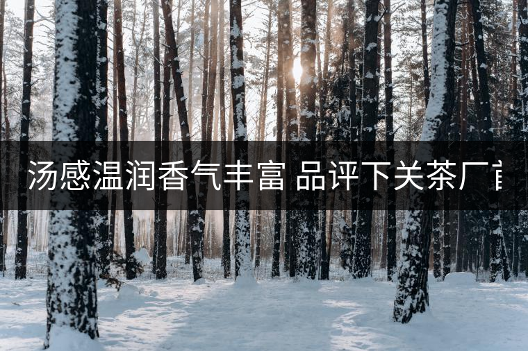 湯感溫潤香氣豐富 品評下關(guān)茶廠首批8653湯感溫潤香氣豐富 品評下關(guān)茶廠首批8653