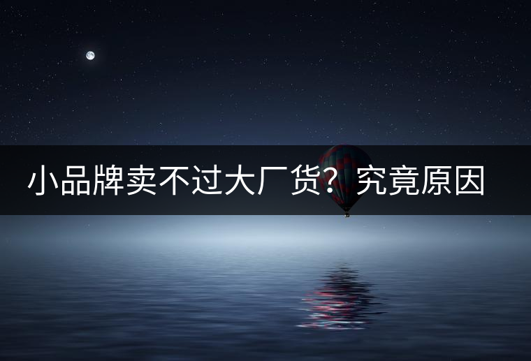 小品牌賣(mài)不過(guò)大廠(chǎng)貨?究竟原因何在…… 小品牌賣(mài)不過(guò)大廠(chǎng)貨?究竟原因何在……