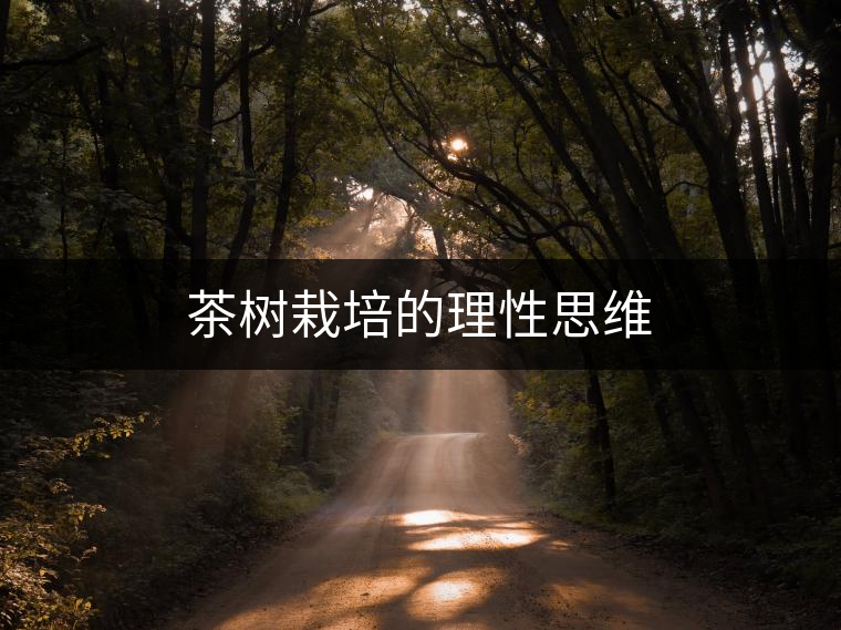 茶樹(shù)栽培的理性思維 茶樹(shù)栽培的理性思維