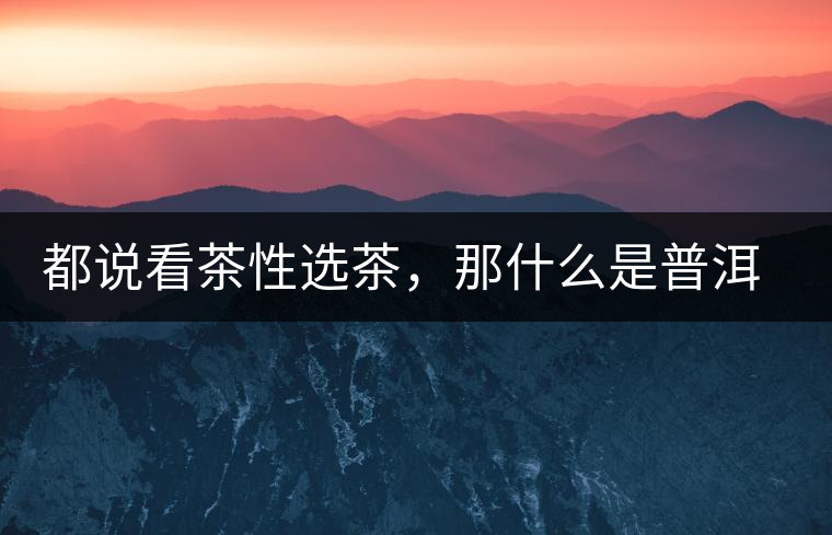 都說看茶性選茶，那什么是普洱茶的“茶性”呢？