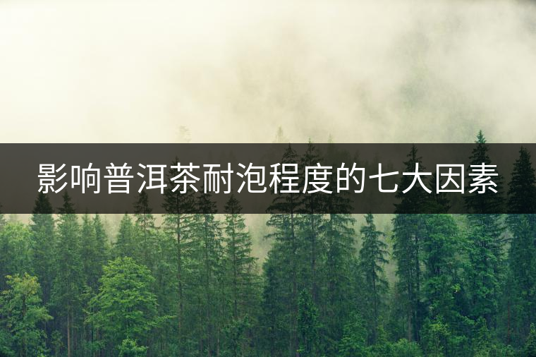 影響普洱茶耐泡程度的七大因素