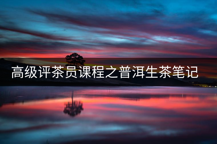 高級評茶員課程之普洱生茶筆記分享 高級評茶員課程之普洱生茶筆記分享