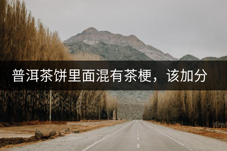 普洱茶餅里面混有茶梗，該加分還是減分？