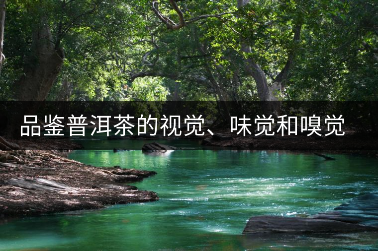 品鑒普洱茶的視覺、味覺和嗅覺指標