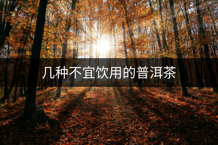 幾種不宜飲用的普洱茶 幾種不宜飲用的普洱茶