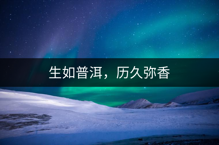 生如普洱，歷久彌香