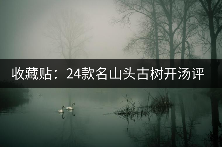 收藏貼：24款名山頭古樹開湯評測