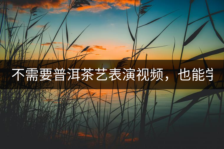 不需要普洱茶藝表演視頻，也能學(xué)會(huì)的茶藝！