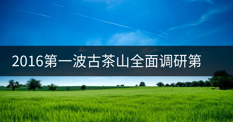 2016第一波古茶山全面調(diào)研第二站——勐海之布朗山 2016第一波古茶山全面調(diào)研第二站——勐海之布朗山