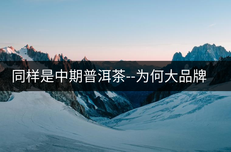 同樣是中期普洱茶--為何大品牌的才會火